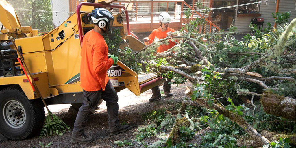 preventing winter storm damage