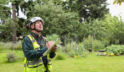 what is an Arborist & Why should I call a tree care professional?